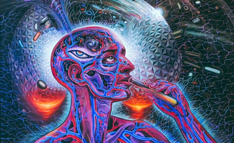 ¿Qué son los enteógenos?