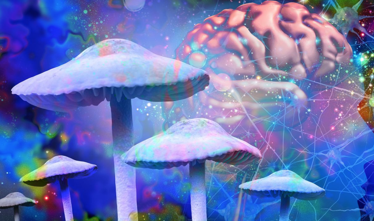 Los maravillosos efectos terapéuticos de la Psilocibina en personas con depresión