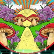 ¿Cómo evaluar tu progreso con la MICRODOSIS?